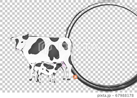 Illustration of a brush-written cow for the year 2021: New Year's card postcard template Illustration of a brush-written cow for the year 2021: New Year's card postcard template 67988178