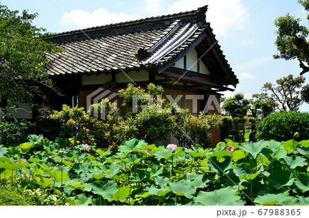 報恩寺 報恩寺 67988365