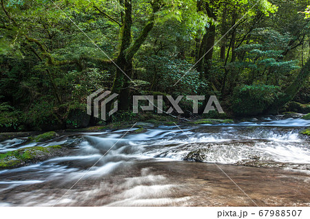 菊池渓谷 菊池渓谷 67988507