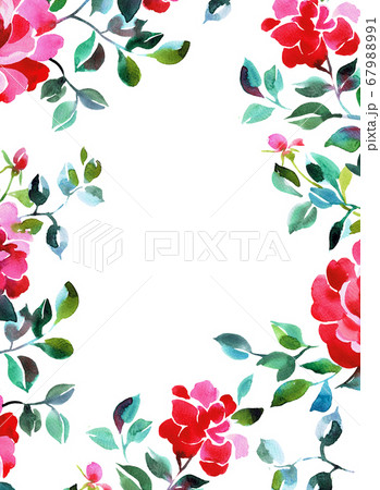 Floral card design. Drawn opulent roses  with empty space in the center. Botanical frame made of flowers isolated on white. Great for postcard, greeting, wedding and invitation cards, placing text. 67988991