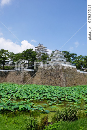 島原城の天守閣と丑寅の櫓 67989515