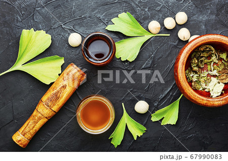 Ginkgo biloba in herbal medicine 67990083
