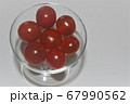 トマト 67990562