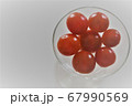 トマト 67990569