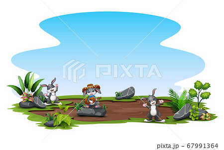 Happy bunnies having fun at nature 67991364