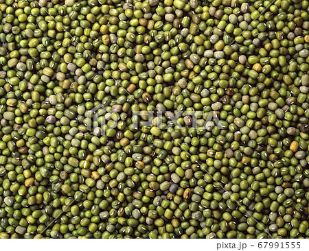 背景 バックグラウンド バックグランド 67991555