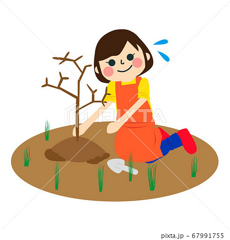 家事をする女性 67991755