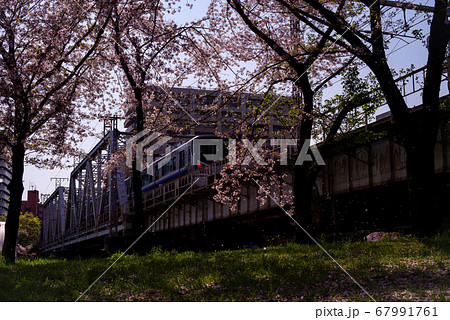 大阪桜ノ宮・春、大阪環状線淀川橋梁を渡る紀州路快速と桜散る風景 大阪桜ノ宮・春、大阪環状線淀川橋梁を渡る紀州路快速と桜散る風景 67991761