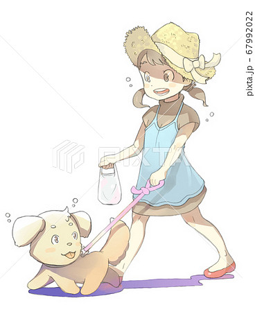 夏の日に犬と散歩する女の子のイラストのイラスト素材