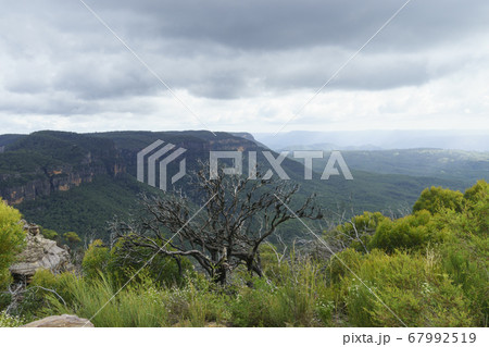 景色 山 シドニー 67992519