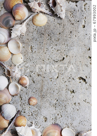 Seashells on the light marble background Seashells on the light marble background 67993002