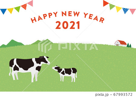 2021年 年賀状 丑年 牧場の牛の親子 白バック 横 文字あり 2021年 年賀状 丑年 牧場の牛の親子 白バック 横 文字あり 67993572