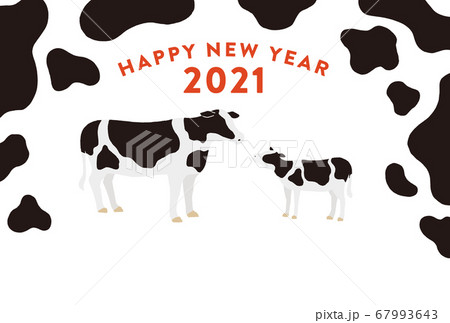 21年 年賀状 丑年 牛柄と牛の親子 黒 横 文字なしのイラスト素材