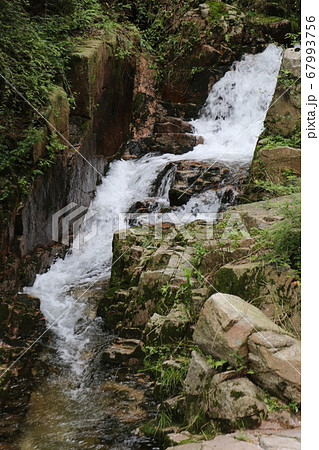 川 河 清流 67993756