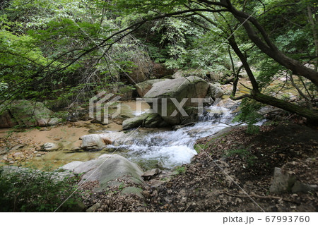 川 河 清流 67993760