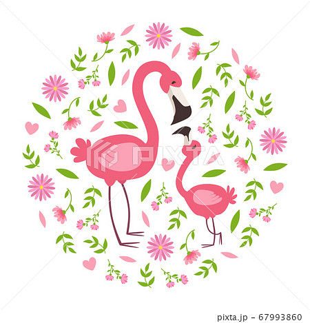 mommy and baby flamingo clipart mommy and baby flamingo clipart
