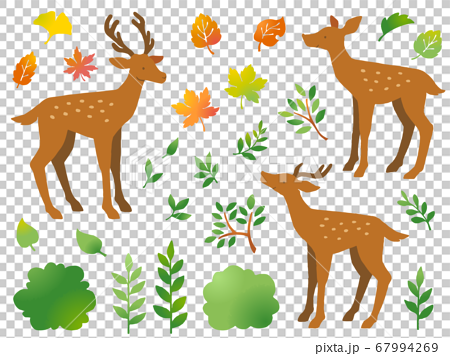 鹿と色々な葉っぱの手描き風イラストセットのイラスト素材
