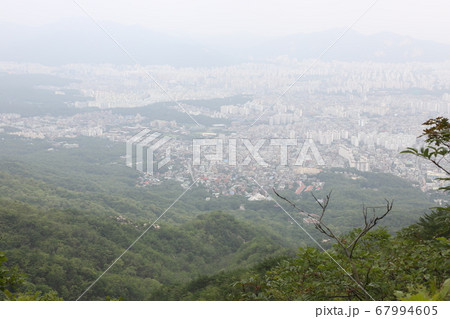 風景 木 一本道 67994605