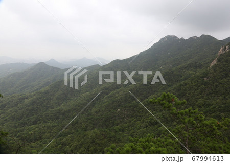 風景 木 一本道 67994613