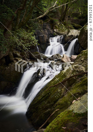 兵庫県三田市　尼ン滝 67995201