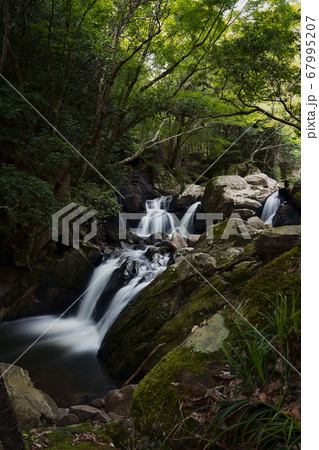 兵庫県三田市　尼ン滝 67995207