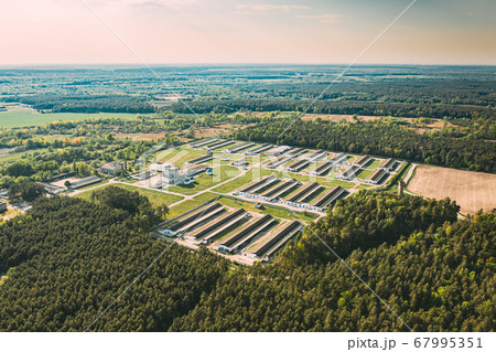 Aerial Bird's-eye View Of Building Of Pig Farm Located In Wood Area In Sunny Day Aerial Bird's-eye View Of Building Of Pig Farm Located In Wood Area In Sunny Day 67995351