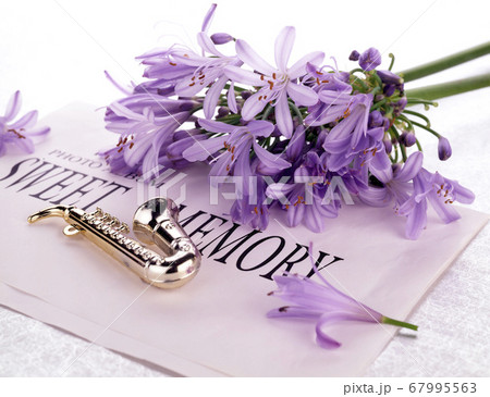 花 フラワー お花 67995563