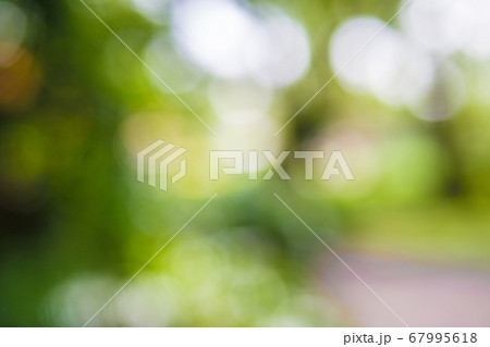 Green leaf bokeh background, abstract background Green leaf bokeh background, abstract background 67995618