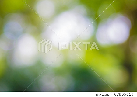 Green leaf bokeh background, abstract background Green leaf bokeh background, abstract background 67995619