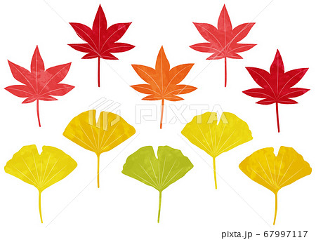 紅葉とイチョウのベクター水彩イラストのイラスト素材