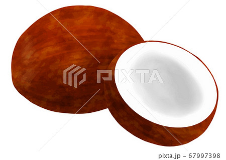 ココナッツ 67997398