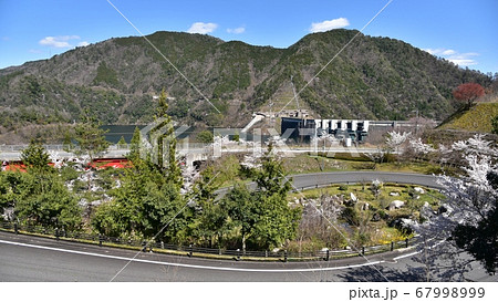 桜と温井ダム　春景色 67998999