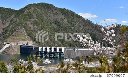 桜と温井ダム 春景色 桜と温井ダム 春景色 67999007