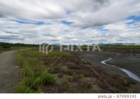 風景 生態公園 始興市 67999193