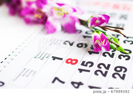 on the calendar March 8 67999392