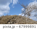 竜ヶ岳04 67999891