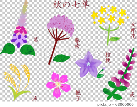 Autumn seven herbs icon with name Autumn seven herbs icon with name 68000006