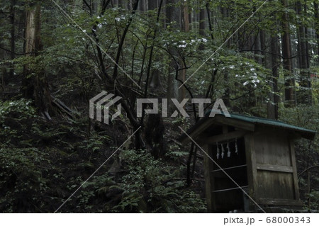 森林とほこら 68000343