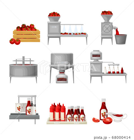 Ketchup Manufacturing Process with Tomato Harvesting, Washing and Squeezing Vector Illustration Set Ketchup Manufacturing Process with Tomato Harvesting, Washing and Squeezing Vector Illustration Set 68000414