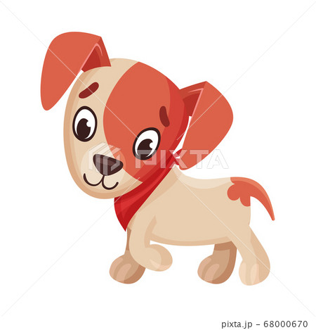 Jack Russell Terrier Character Walking and Wriggling Tail Vector Illustration Jack Russell Terrier Character Walking and Wriggling Tail Vector Illustration 68000670