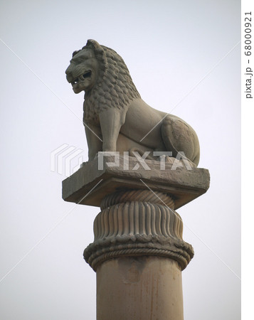 バイシャリ 68000921