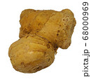 生姜　しょうが　ショウガ　ジンジャー　ginger 68000969