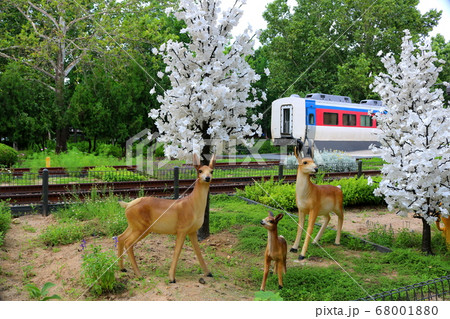 公園 列車 鹿 68001880