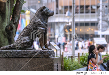 日本の東京都市景観 ハチ公も驚愕!?。新型コロナ・東京過去最多の463人感染確認=7月31日 日本の東京都市景観 ハチ公も驚愕!?。新型コロナ・東京過去最多の463人感染確認=7月31日 68002173