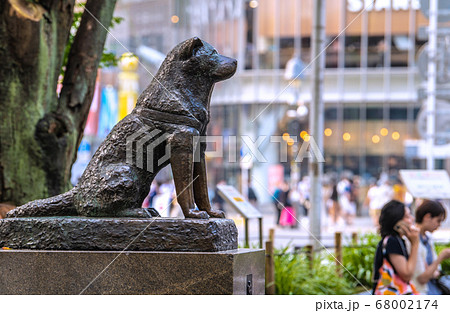 日本の東京都市景観　ハチ公も驚愕!？。新型コロナ・東京過去最多の463人感染確認＝7月31日 68002174