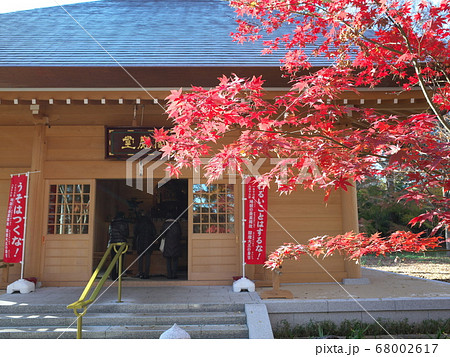 九品仏浄真寺　閻魔堂の紅葉 68002617