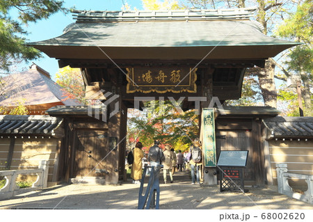 九品仏浄真寺 総門の紅葉 九品仏浄真寺 総門の紅葉 68002620