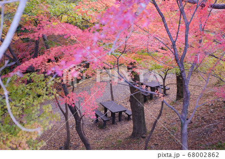 秋の水沢もみじ谷の紅葉に包まれる休憩所のピクニックテーブルの写真素材