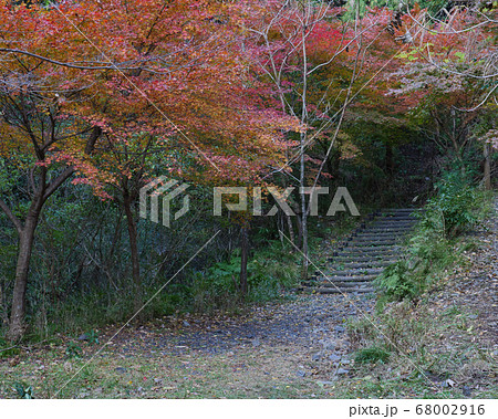 水沢もみじ谷の紅葉に包まれる道の階段の写真素材