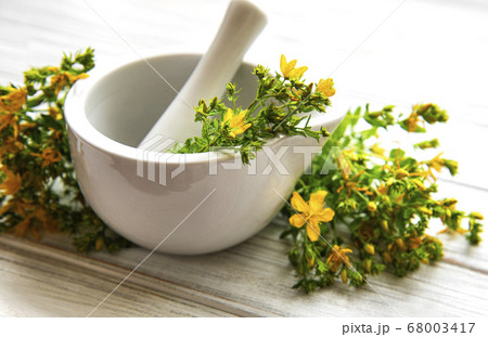 St. John's wort flowers in mortar St. John's wort flowers in mortar 68003417